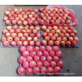 2016 New Crop Fresh Red FUJI Apple